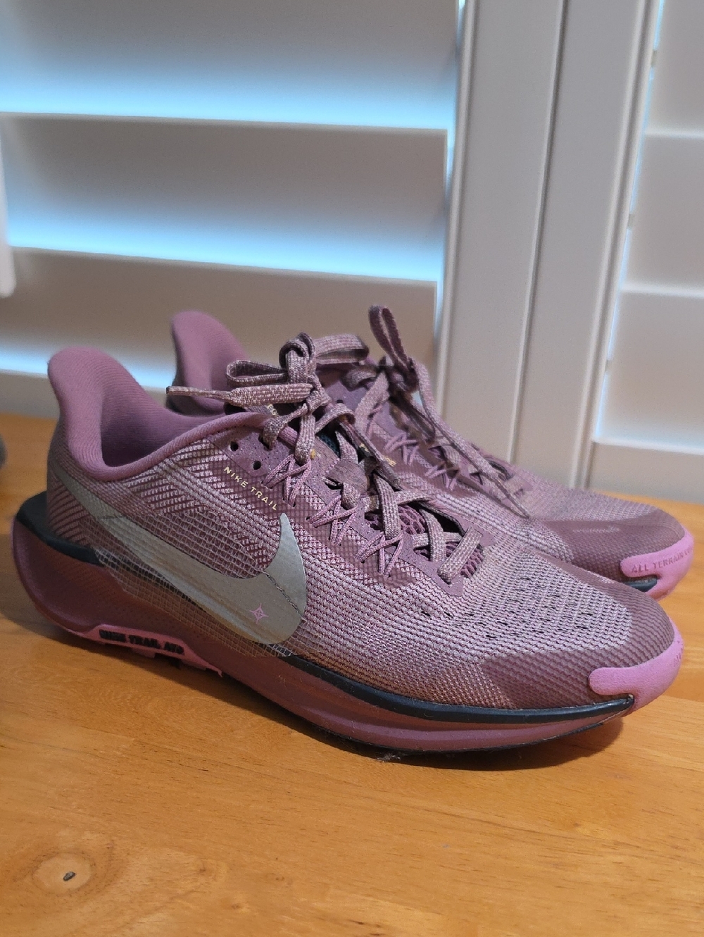 Nike Pegasus Trail 5